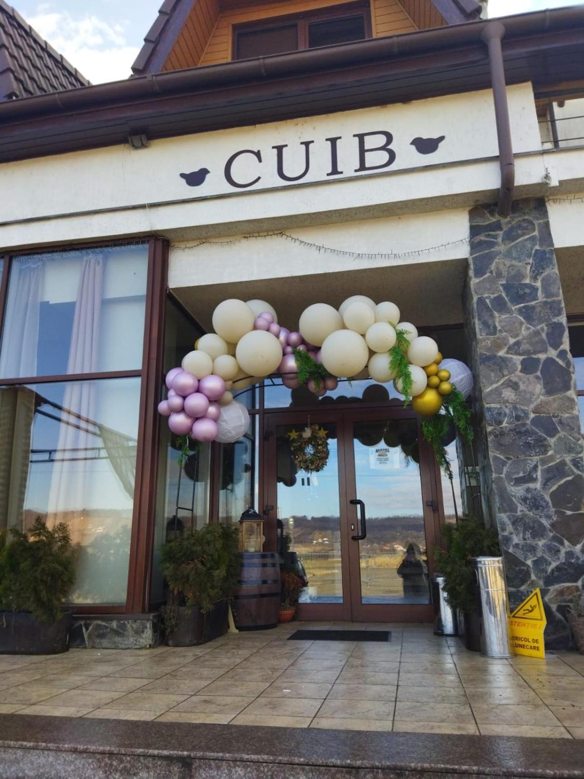 La Cuib Cristian Sibiu Hotel Room photo